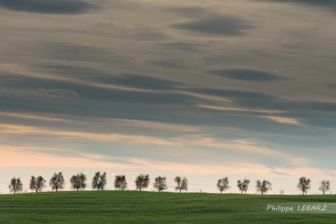 Paysage de Toscane à proximité de San Quirico d'Orcia au coucher du soleil
