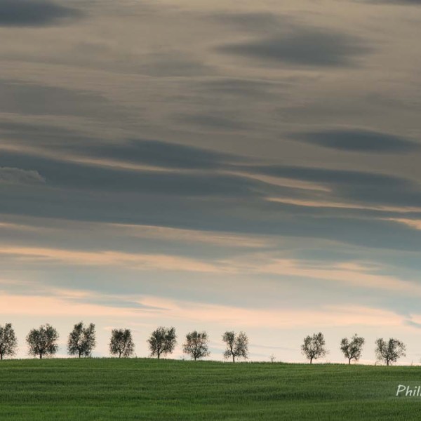Paysage de Toscane à proximité de San Quirico d'Orcia au coucher du soleil