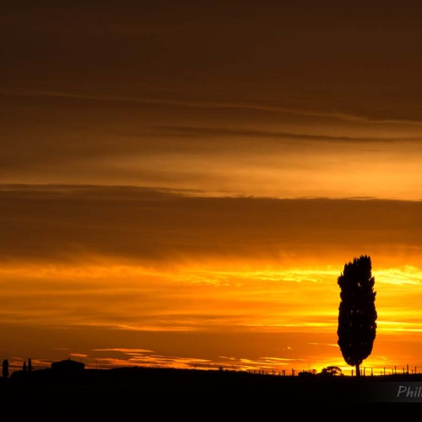 Paysage de Toscane à proximité de San Quirico d'Orcia au coucher du soleil