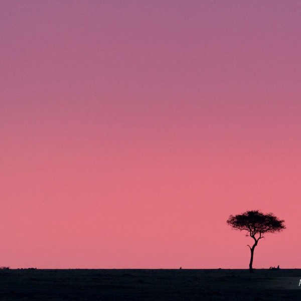 Plaine du Masai-Mara au coucher du soleil - Kenya