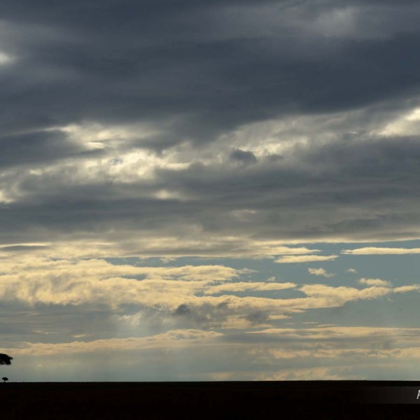 Plaine du Masai-Mara au petit matin - Kenya
